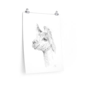 ANDY Llama- Art Paper Print