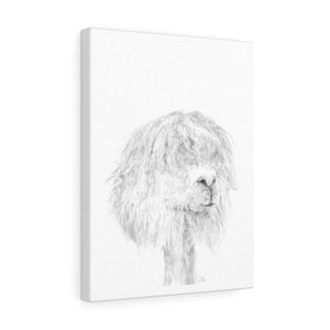 ASA Llama - Art Canvas
