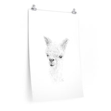 ZOE Llama- Art Paper Print