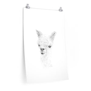 ZOE Llama- Art Paper Print