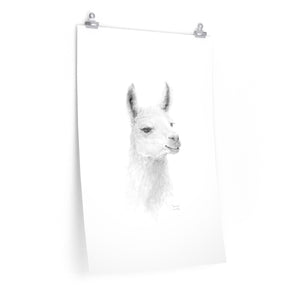 JOUNEER Llama- Art Paper Print