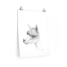 ETHAN Llama- Art Paper Print