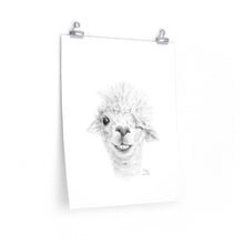 MAGGIE Llama- Art Paper Print