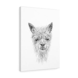 SAWYER Llama - Art Canvas