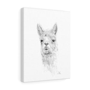 CARI Llama - Art Canvas