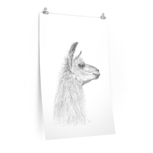 CAROL Llama- Art Paper Print