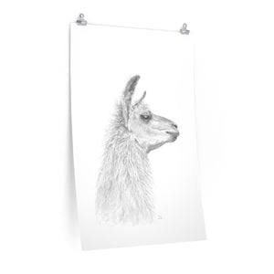 CAROL Llama- Art Paper Print