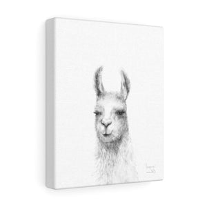 JACQUIE Llama - Art Canvas