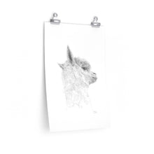 NAOMI Llama- Art Paper Print