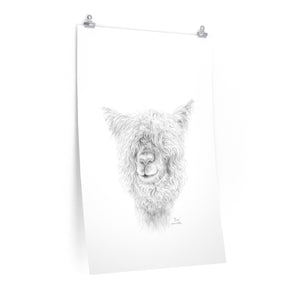 RION Llama- Art Paper Print