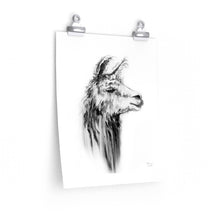 CATHERINE Llama- Art Paper Print