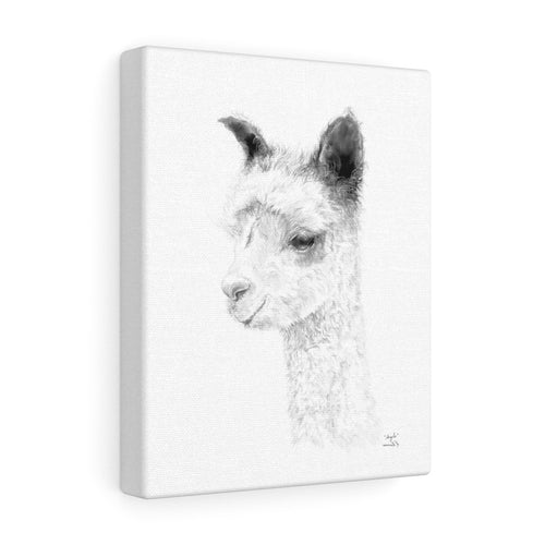 ANGELA Llama - Art Canvas