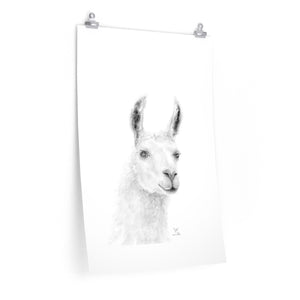 JILL Llama- Art Paper Print