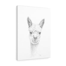 EDIS Llama - Art Canvas