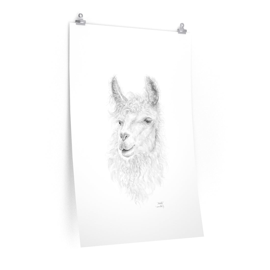 MICHELLE Llama- Art Paper Print