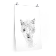 DANNY Llama- Art Paper Print