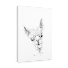 CHRISTINA Llama - Art Canvas