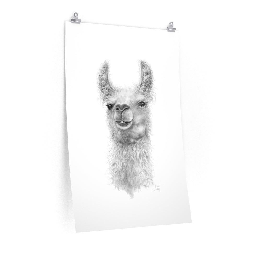 CRYSTAL Llama- Art Paper Print