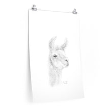 SAVANNAH Llama- Art Paper Print