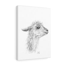 MENGKHA Llama - Art Canvas