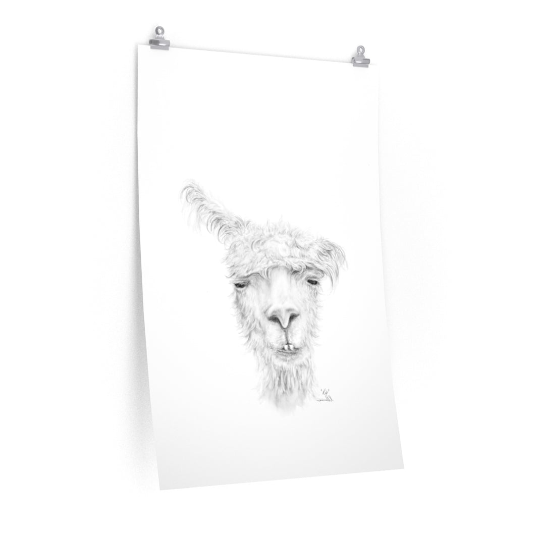 KIP Llama- Art Paper Print