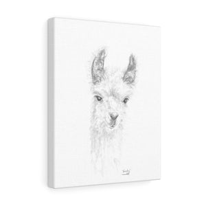 EMSLEY Llama - Art Canvas