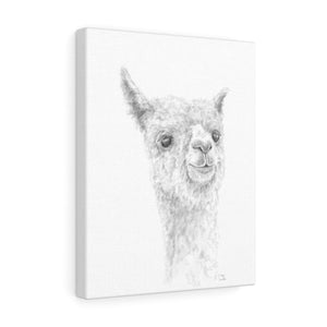 REX Llama - Art Canvas