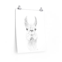 ZAILAH Llama- Art Paper Print