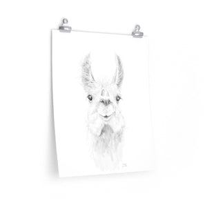 ZAILAH Llama- Art Paper Print