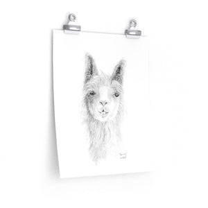 BEVERLY Llama- Art Paper Print