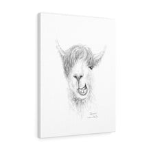 SAREN Llama - Art Canvas