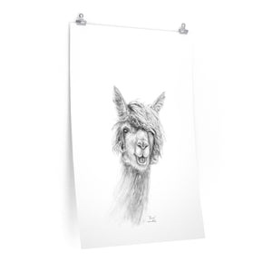 RENEE Llama- Art Paper Print