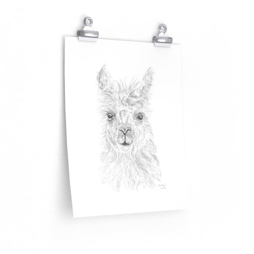 BROOKLYN Llama- Art Paper Print