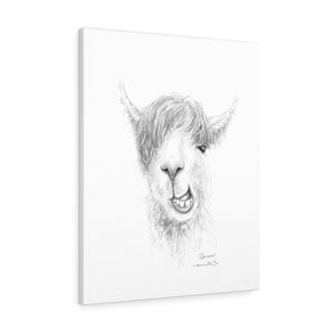 SAREN Llama - Art Canvas