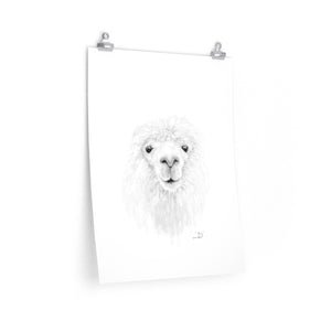 RORY Llama- Art Paper Print
