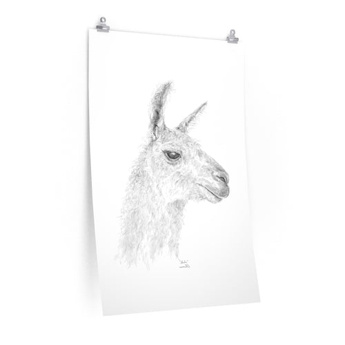 SHELIA Llama- Art Paper Print