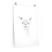 JJARED Llama- Art Paper Print