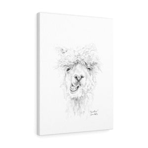 JONATHON Llama - Art Canvas