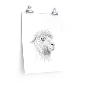 PHILLIP Llama- Art Paper Print
