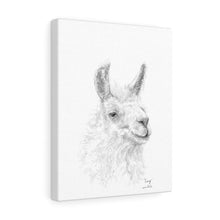 CRAIG llama- Art Canvas