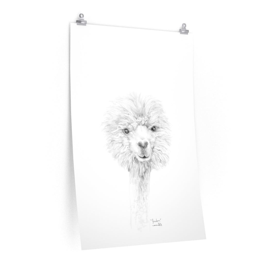 JORDAN Llama- Art Paper Print