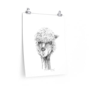 MICHAEL Llama- Art Paper Print