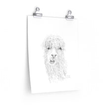 BROOKE Llama- Art Paper Print