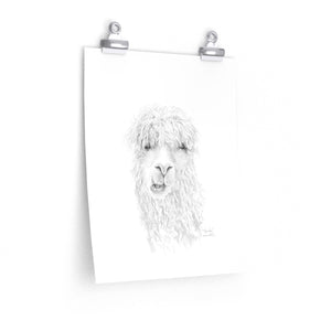 BROOKE Llama- Art Paper Print