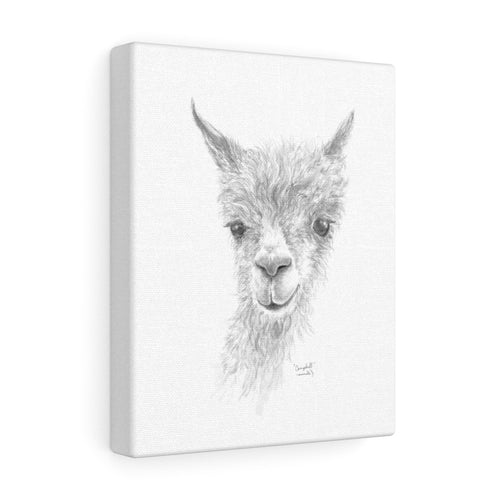 CAMPBELL Llama - Art Canvas