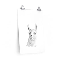 RUBY Llama- Art Paper Print