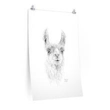 BILLIE-JO Llama- Art Paper Print