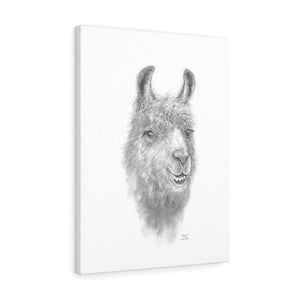 KAYLEE Llama - Art Canvas