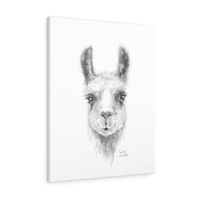 CAROLINE Llama - Art Canvas