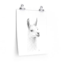 EVA Llama- Art Paper Print